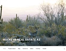 Tablet Screenshot of buckeyerealestateaz.com